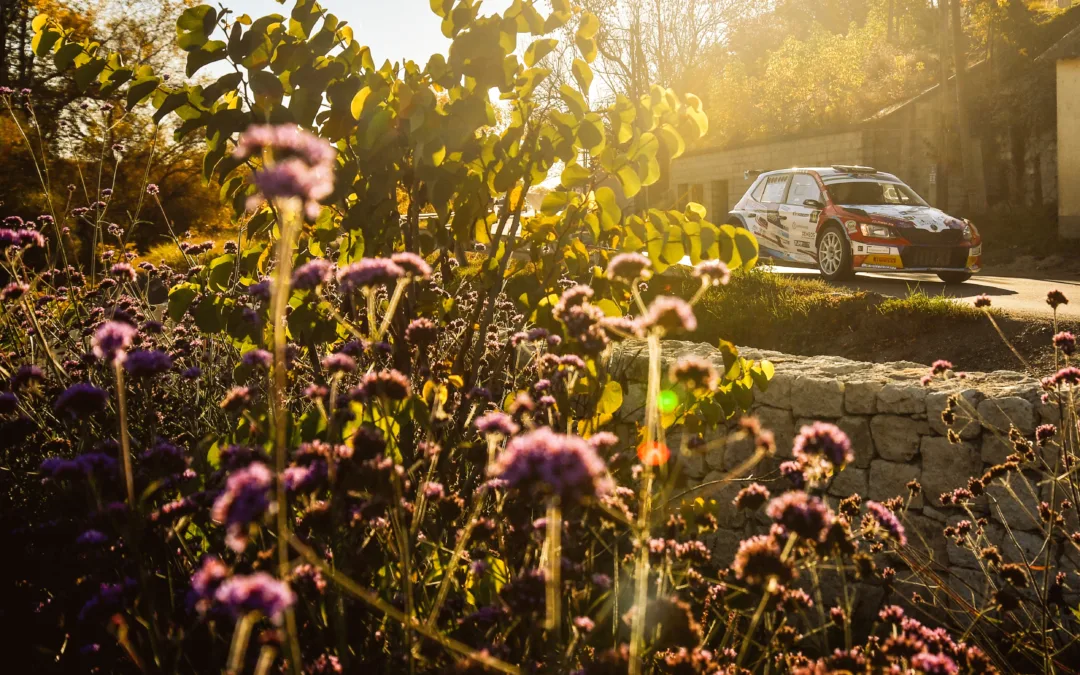 Környezettudatosságra törekszik a Rally Hungary