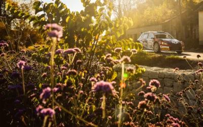 Környezettudatosságra törekszik a Rally Hungary